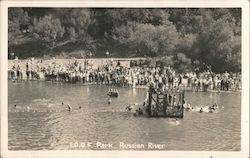 1.0.0.F. Park, Russian River Monte Rio, CA Postcard Postcard Postcard