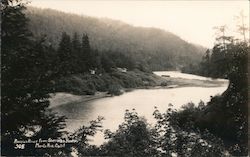 Russian River from Sherman House Monte Rio, CA Postcard Postcard Postcard