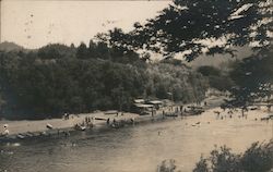 Beach view from across the river Monte Rio, CA Postcard Postcard Postcard