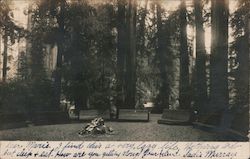 Fire Pit at Camp Meeker California Postcard Postcard Postcard