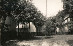 Tent Camp in orchard Postcard