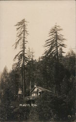 A House on the Side of a Mountain Monte Rio, CA Postcard Postcard Postcard