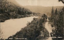 New Road Monte Rio, CA Johnson Photo Postcard Postcard Postcard