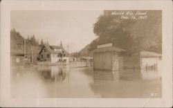 Flood - December 12, 1937 Monte Rio, CA Postcard Postcard Postcard