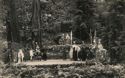 Bohemian Grove Play in the Redwoods with knights on horses Monte Rio, CA Postcard Postcard Postcard