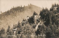 Air Castle and Ames Cottage Monte Rio Cal Postcard