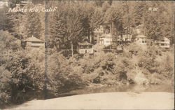 Houses on the Side of a Hill Monte Rio, CA Postcard Postcard Postcard