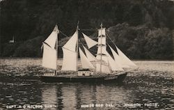 W H Dimond sailing ship three masts Capt AO Nilson Monte Rio, CA Johnson Photo Postcard Postcard Postcard