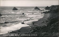 Coastline Near Russian River Postcard