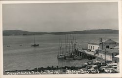 Consolidated Fish Co. Dock Postcard