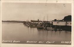 Fishing Boats Postcard