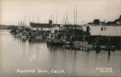 Boats in the Water Postcard