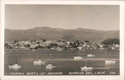 Fishing Boats at Anchor Postcard