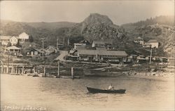 View of Town Jenner, CA Postcard Postcard Postcard