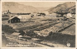 Early Days, Aerial View Jenner, CA Peck Photo Postcard Postcard Postcard