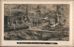 Men Logging Duncans Mills, CA Pelton Photo Postcard Postcard Postcard