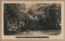 Picnic Grounds Duncans Mills, CA Pelton Photo Postcard Postcard Postcard