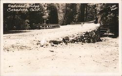 Redwood Bridge Cazadero, CA Lee Photo Postcard Postcard Postcard