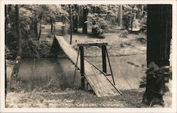 Berkeley Camp Suspension Bridge, Austin Creek Cazadero, CA Postcard Postcard Postcard