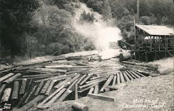 Mill Road Cazadero, CA Zan Postcard Postcard Postcard