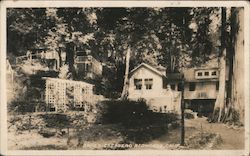 Broz's Cazadero Redwoods California Postcard Postcard Postcard