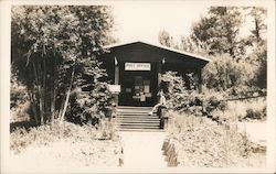 Post Office - Camp Meeker California Postcard Postcard Postcard