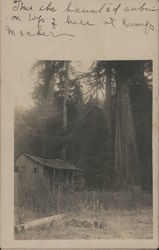 Haunted Cabin at Camp Meeker Postcard