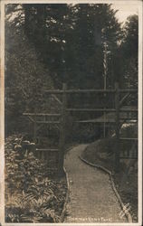 Summer Home Park pathway and United States flag Postcard