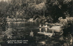 Summer Home Park Hilton, CA Postcard Postcard Postcard