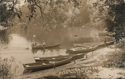 Row boats Hilton, CA Postcard Postcard Postcard