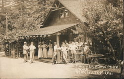 Summer Home Park Store Postcard