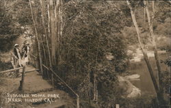 Summer Home Park Postcard