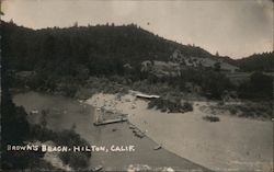 View of Brown's Beach Postcard