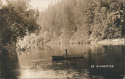 Man in row boat Postcard