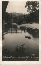 Summer Home Park Resort on the Russian River Postcard