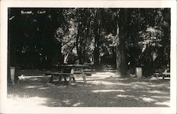 Park, Picnic Bench Postcard