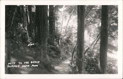 Path to the Beach - Summer Home Park Postcard