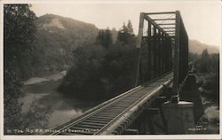 The Big Railroad Trestle at "Cosmo Farm" Forestville, CA Mc Clearie Postcard Postcard Postcard