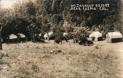 Mt. Jackson Resort, Cosmo Postcard