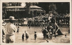 Mirabel Park on the Russian River Postcard