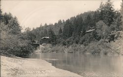 At Hollydale Park Forestville, Calif California Postcard Postcard Postcard