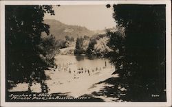 Sunshine & Shade Mirabel Park on Russian River Postcard