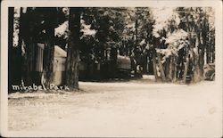 Mirabel Park on the Russian River Postcard