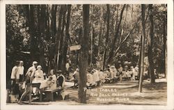 Picnic Tables Rio Dell Resort Postcard