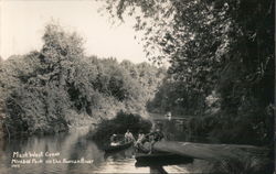 Mark West Creek on the Russian River Postcard