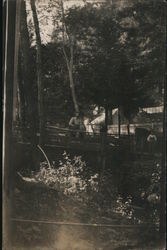 Man and boy on bridge in woods Postcard