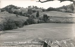 Healdsburg City Municipal Golf Course Postcard