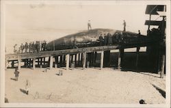 A Large Dead Whale on a Boardwalk Surrounded by People Postcard