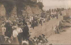 Crowd at the Sutro Baths Postcard