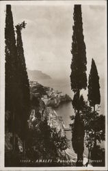 Amalfi Coast Through Cypress Trees Postcard